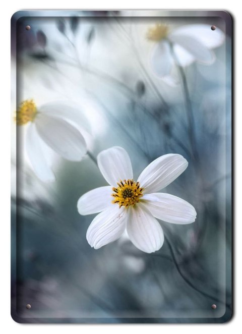 KWIATY METALOWY SZYLD PLAKAT RETRO VINTAGE #10742