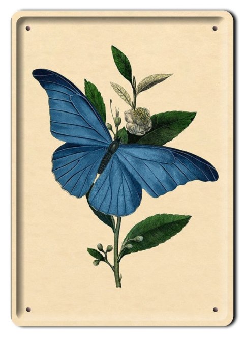 KWIATY METALOWY SZYLD PLAKAT VINTAGE RETRO #08661