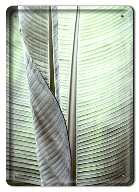 KWIATY METALOWY SZYLD PLAKAT VINTAGE RETRO #08961
