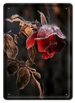 KWIATY METALOWY SZYLD VINTAGE RETRO #09335