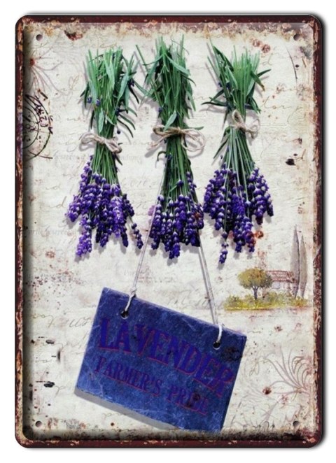 LAWENDA METALOWY SZYLD PLAKAT RETRO #01101