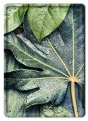 LIŚCIE METALOWY SZYLD PLAKAT VINTAGE RETRO #08993