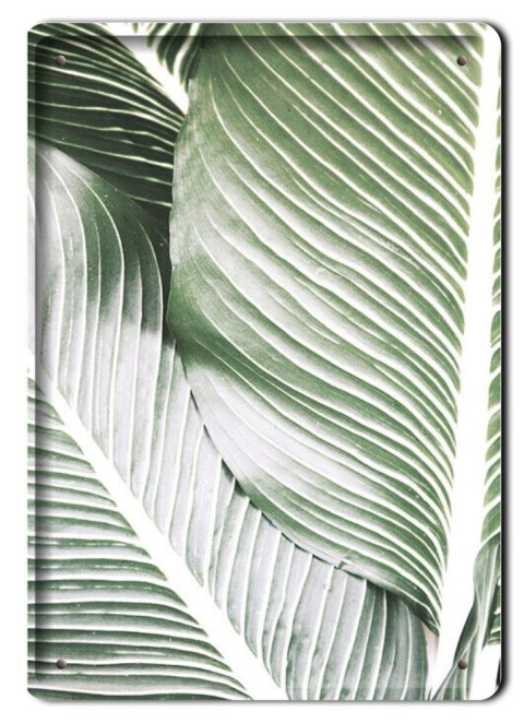 LIŚCIE METALOWY SZYLD PLAKAT VINTAGE RETRO #08994