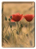 MAKI PLAKAT METALOWY SZYLD TABLICZKA RETRO #11437