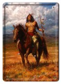 METALOWY SZYLD PLAKAT OBRAZEK INDIANIN #01636