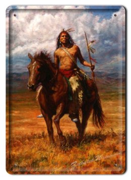 METALOWY SZYLD PLAKAT OBRAZEK INDIANIN #01636