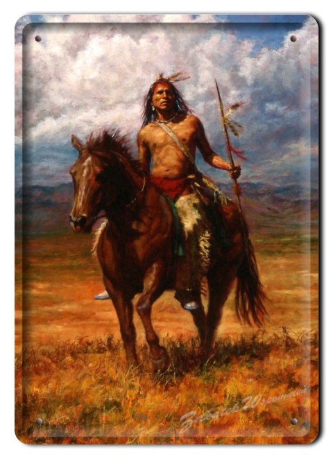 METALOWY SZYLD PLAKAT OBRAZEK INDIANIN #01636