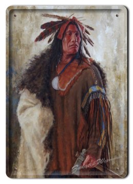 METALOWY SZYLD PLAKAT OBRAZEK INDIANIN RETRO #01639