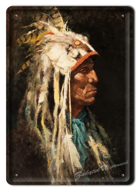 METALOWY SZYLD PLAKAT OBRAZEK INDIANIN RETRO #01640