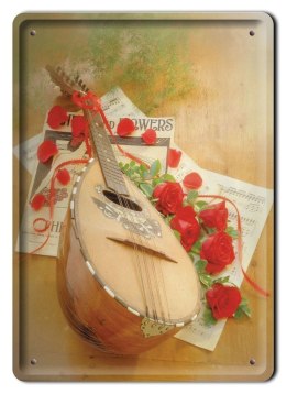 METALOWY SZYLD PLAKAT OBRAZEK RETRO VINTAGE #05047