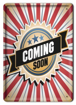 METALOWY SZYLD PLAKAT OBRAZEK RETRO VINTAGE #05048
