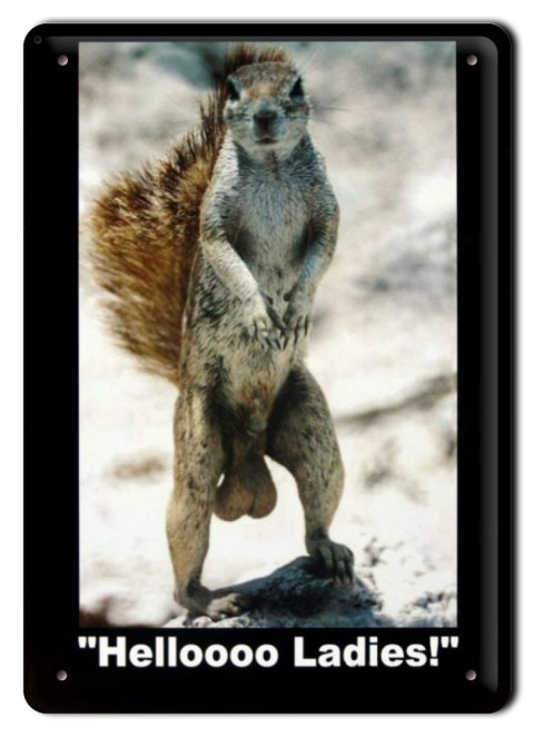 METALOWY SZYLD PLAKAT OBRAZEK VINTAGE RETRO #00411