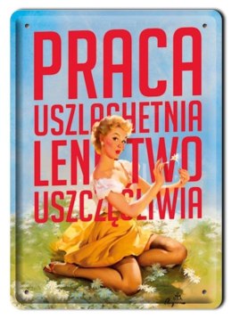 METALOWY SZYLD PLAKAT OBRAZEK VINTAGE RETRO #01043