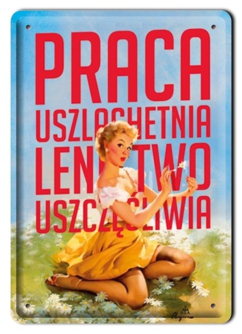 METALOWY SZYLD PLAKAT OBRAZEK VINTAGE RETRO #01043