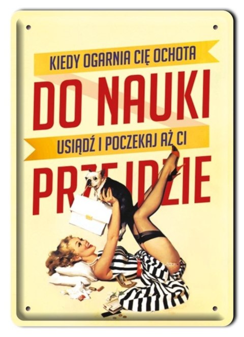 METALOWY SZYLD PLAKAT OBRAZEK VINTAGE RETRO #01053