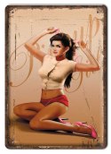 METALOWY SZYLD PLAKAT OBRAZEK VINTAGE RETRO #01254