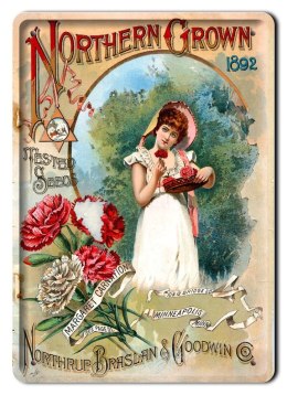 METALOWY SZYLD PLAKAT OBRAZEK VINTAGE RETRO #02289