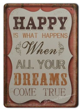 METALOWY SZYLD PLAKAT OBRAZEK VINTAGE RETRO #03011