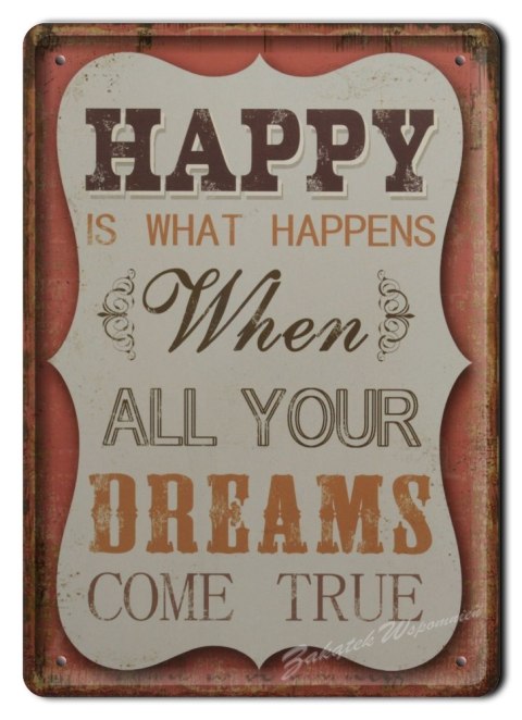 METALOWY SZYLD PLAKAT OBRAZEK VINTAGE RETRO #03011