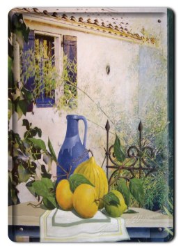 METALOWY SZYLD PLAKAT OBRAZEK VINTAGE RETRO #03503