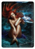 METALOWY SZYLD PLAKAT OBRAZEK VINTAGE RETRO #03525