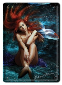 METALOWY SZYLD PLAKAT OBRAZEK VINTAGE RETRO #03525