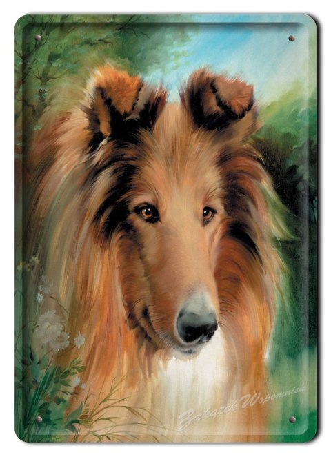 METALOWY SZYLD PLAKAT OBRAZEK VINTAGE RETRO #03876