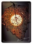 METALOWY SZYLD PLAKAT OBRAZEK VINTAGE RETRO #06152