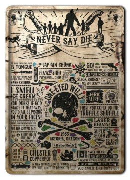 METALOWY SZYLD PLAKAT OBRAZEK VINTAGE RETRO #08447