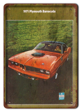 BARRACUDA METALOWY SZYLD PLAKAT RETRO #06820