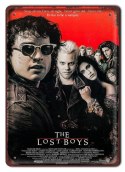 METALOWY SZYLD PLAKAT VINTAGE RETRO #08604
