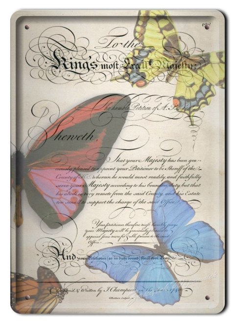 MOTYLE METALOWY SZYLD PLAKAT RETRO #04846
