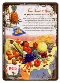 OWOCE METALOWY SZYLD PLAKAT RETRO VINTAGE #10143