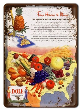 OWOCE METALOWY SZYLD PLAKAT RETRO VINTAGE #10143