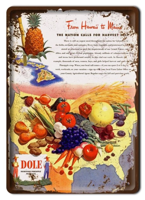 OWOCE METALOWY SZYLD PLAKAT RETRO VINTAGE #10143
