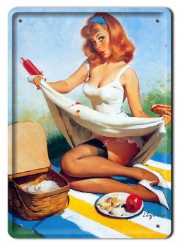 PANI NA PIKNIKU METALOWY SZYLD PLAKAT RETRO #08467