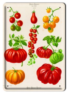 PAPRYKA METALOWY SZYLD PLAKAT VINTAGE RETRO #00493