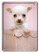 PIES METALOWY SZYLD OBRAZEK PLAKAT RETRO #03887