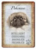 PIES PLAKAT METALOWY SZYLD TABLICZKA RETRO #11687