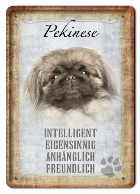 PIES PLAKAT METALOWY SZYLD TABLICZKA RETRO #11687
