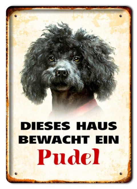 PIES PLAKAT METALOWY SZYLD TABLICZKA RETRO #11689