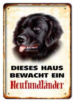 PIES PLAKAT METALOWY SZYLD TABLICZKA RETRO #11733