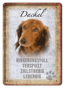 PIES PLAKAT METALOWY SZYLD TABLICZKA RETRO #11793