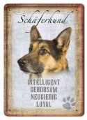 PIES TABLICZKA METALOWY SZYLD PLAKAT RETRO #10041