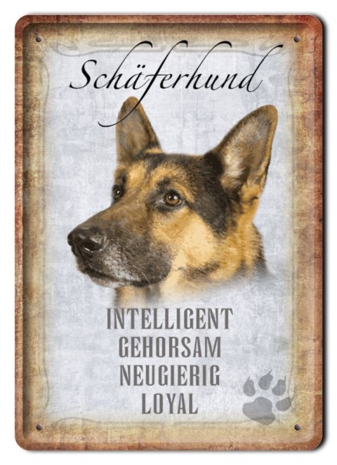 PIES TABLICZKA METALOWY SZYLD PLAKAT RETRO #10041