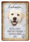 PIES TABLICZKA METALOWY SZYLD PLAKAT RETRO #11741