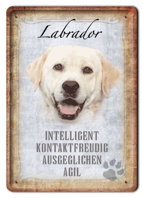 PIES TABLICZKA METALOWY SZYLD PLAKAT RETRO #11741