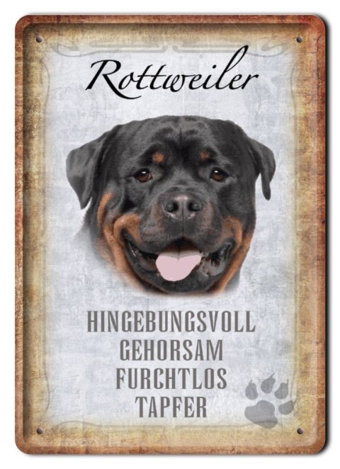 PIES TABLICZKA METALOWY SZYLD PLAKAT RETRO #11758