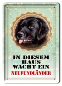 PIES TABLICZKA METALOWY SZYLD PLAKAT RETRO #11812