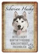 PIES TABLICZKA METALOWY SZYLD PLAKAT RETRO #11816
